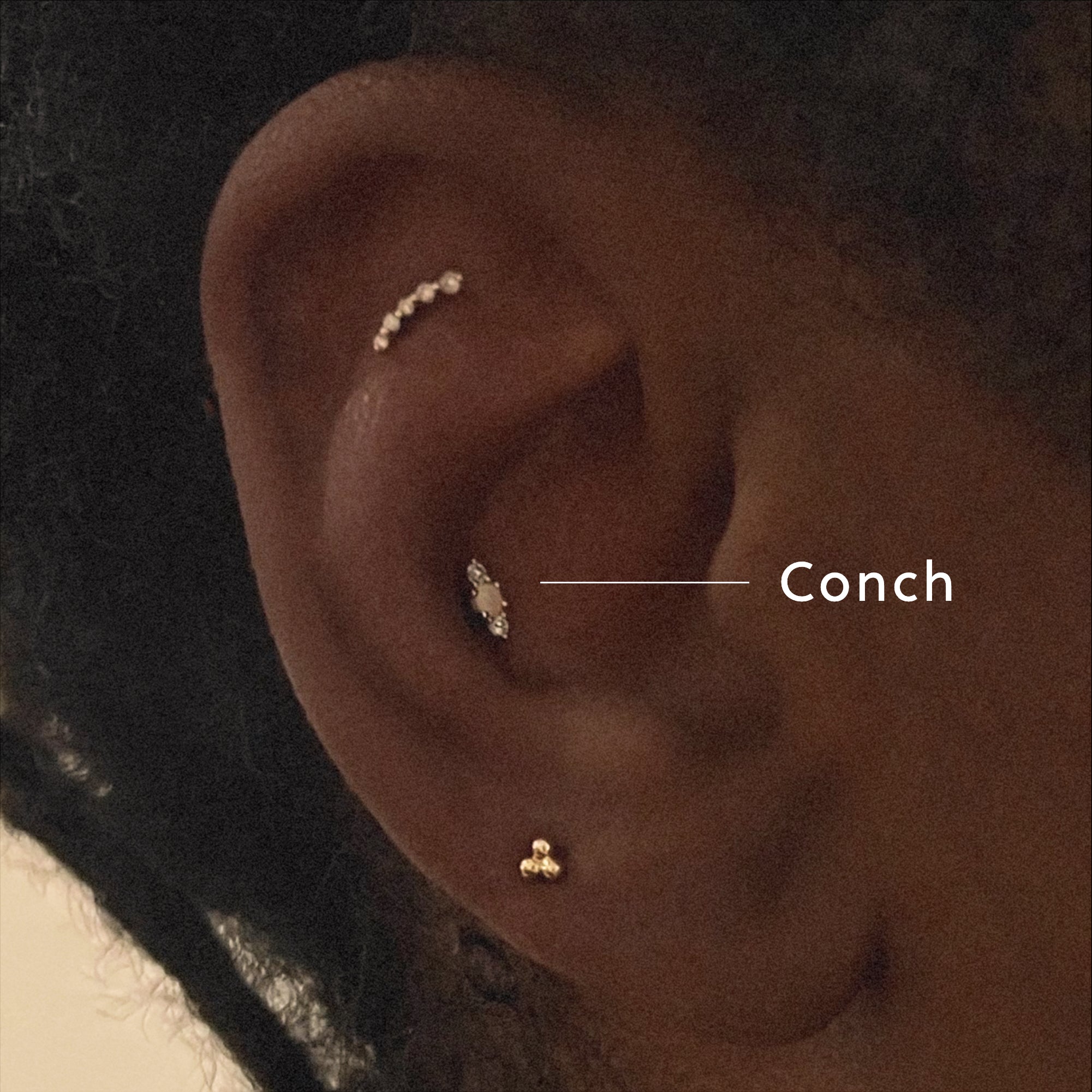 Conch Piercings