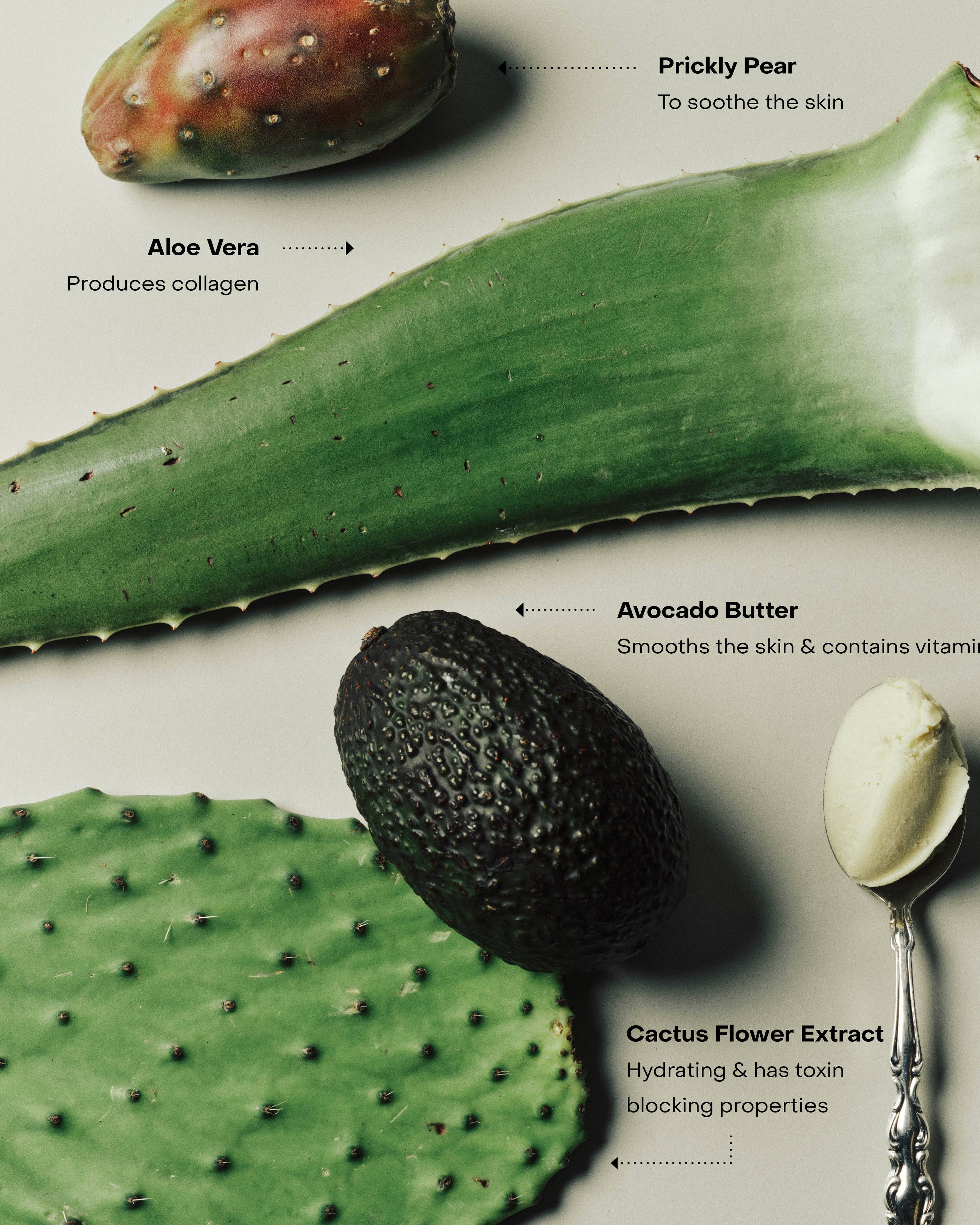 Illustration of aloe vera, avocado, cactus flower extract, and shea butter with text labels on a light background.