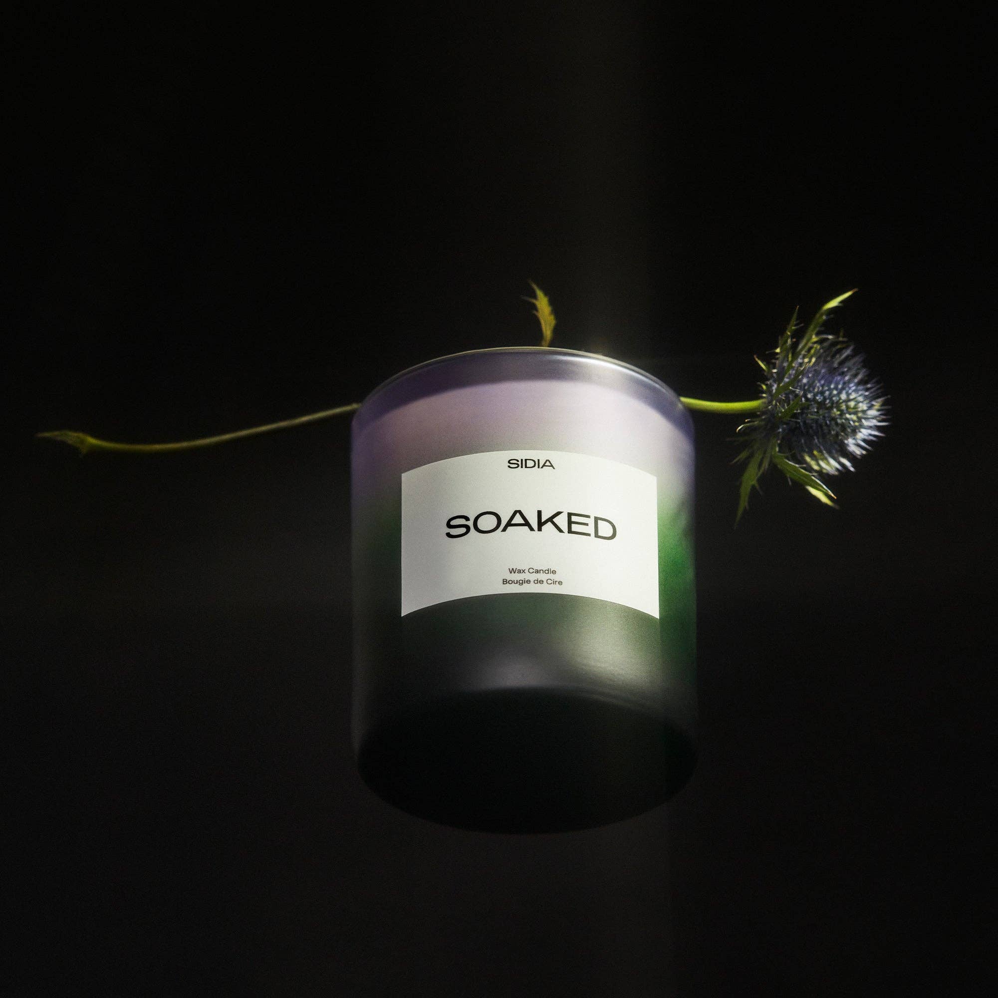 A black SOAKED Candle by SIDIA is displayed against a dark background, accompanied by a spiky purple thistle flower and subtle notes of jasmine behind the candle.