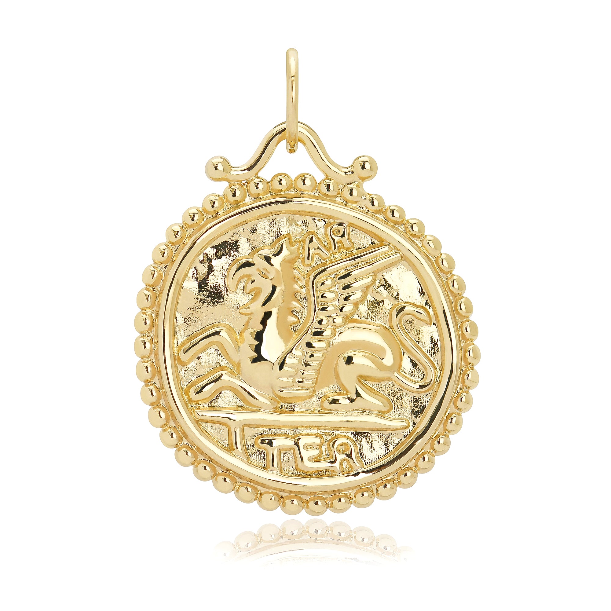 Elsa Pegasus Coin Charm
