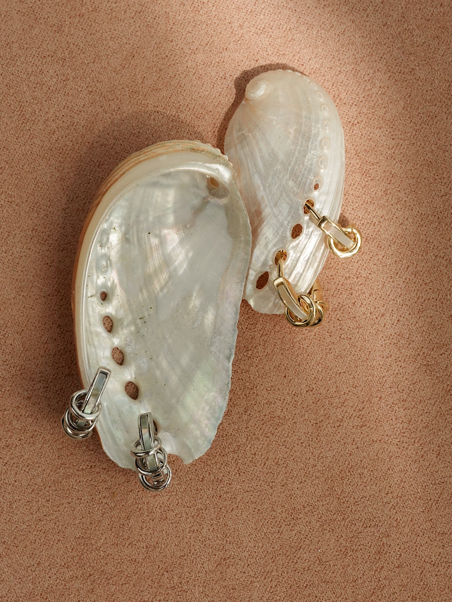 Two abalone seashells rest on a textured beige surface, each showcasing Mod + Jo’s Levi Huggies—one pair in tarnish-resistant silver, the other in gold—delicately looped through the shells’ natural holes.