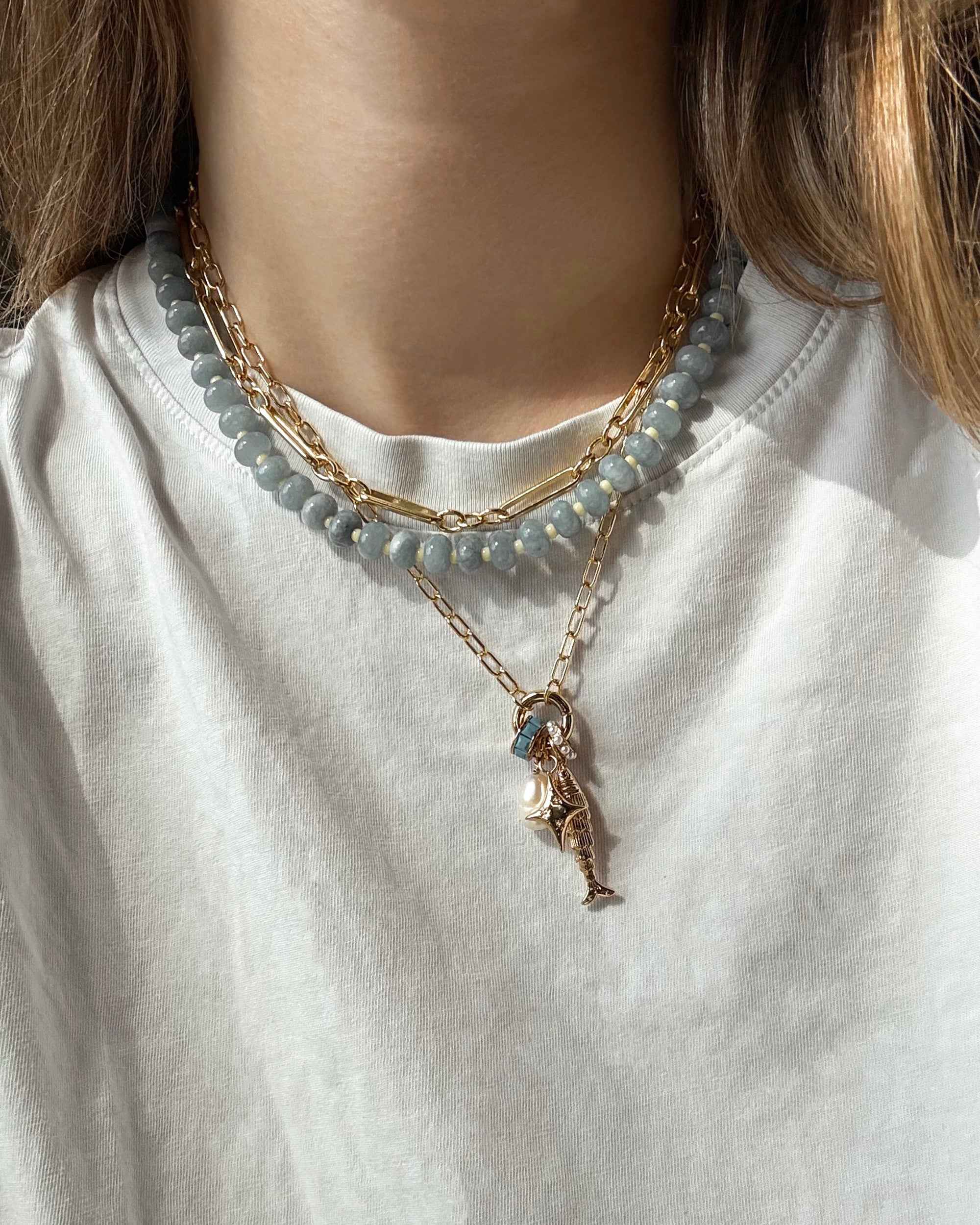 Darcy Charm Clip Necklace