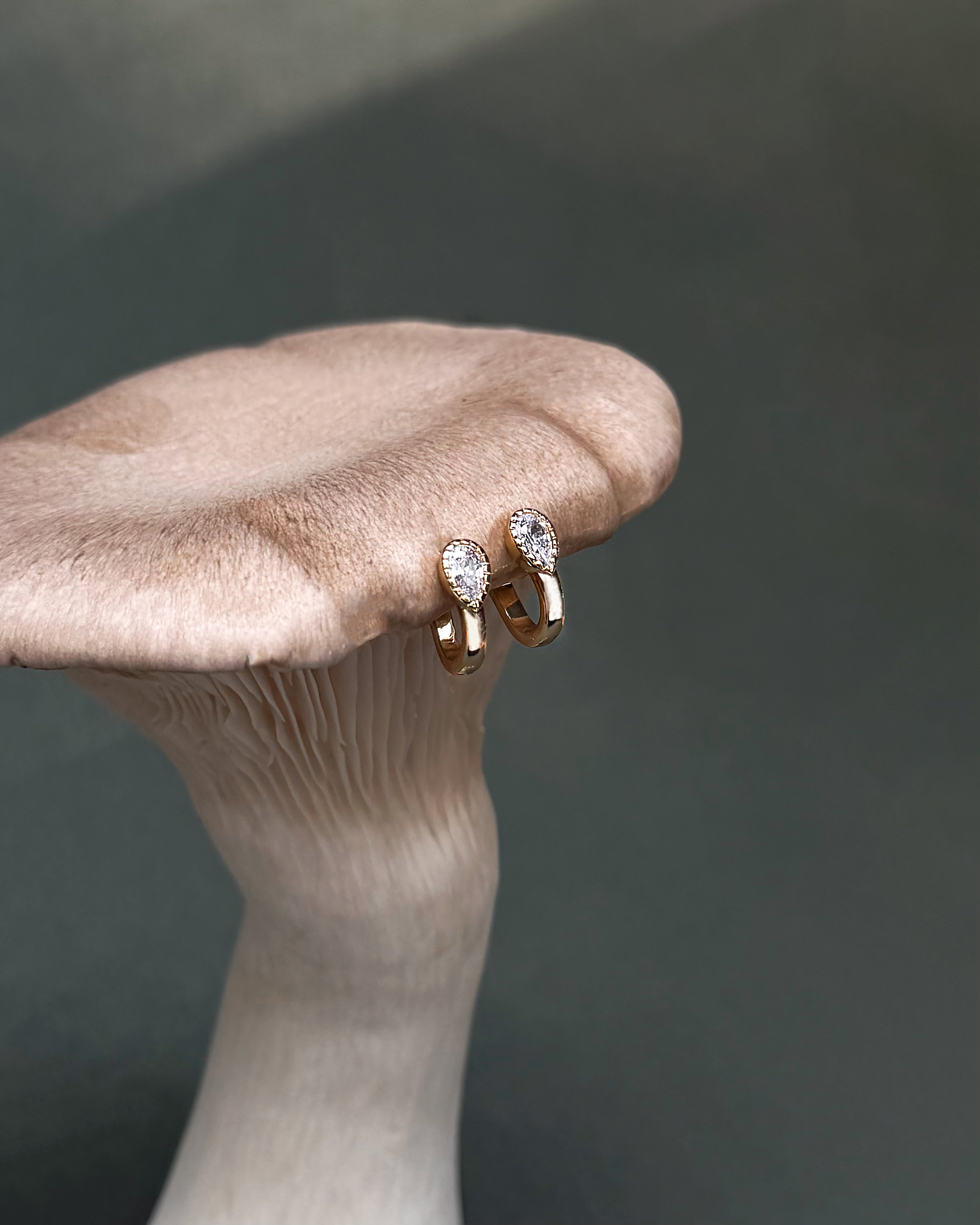 The Leighton Teardrop Huggies by Mod + Jo, featuring gold plating and sparkling cubic zirconia accents, are displayed atop a beige mushroom.