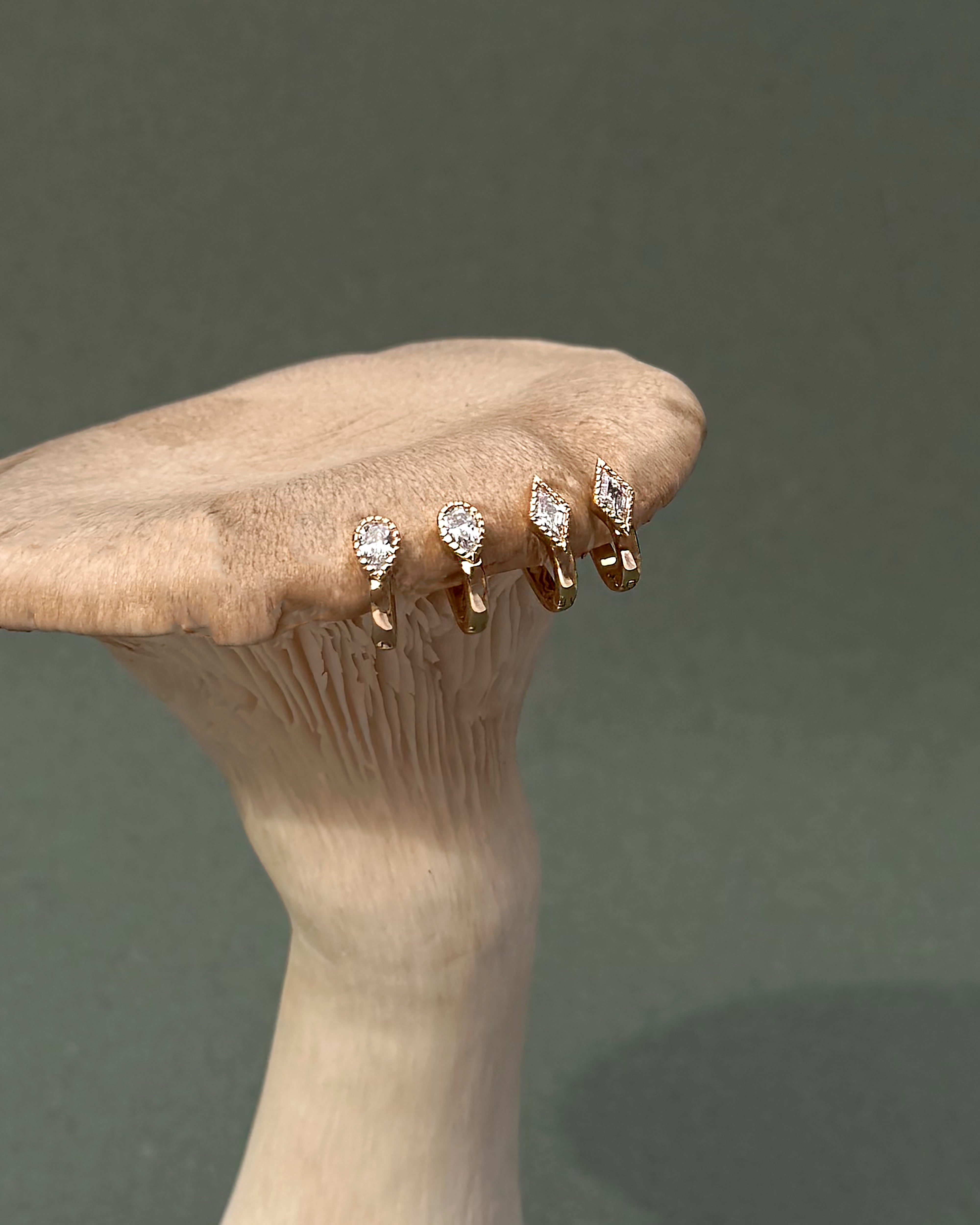 Four Phoebe Kite Huggies by Mod + Jo, each featuring a unique diamond-shaped design, are displayed along the top edge of a large mushroom against a plain gray background, their brilliance reminiscent of elegant cubic zirconia earrings.