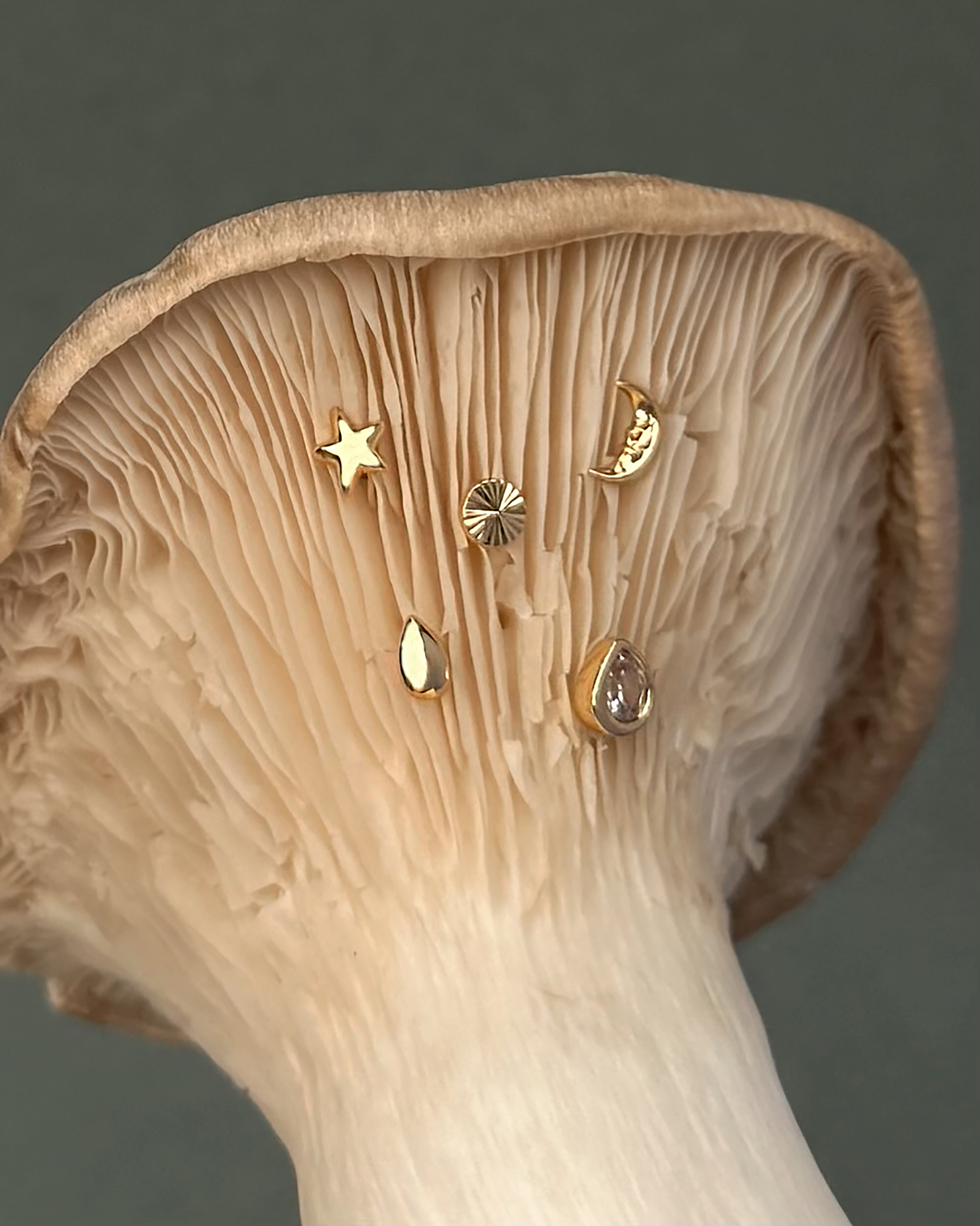 Five gold earrings—including the Archie Moon Studs by Mod + Jo, a star, a sunburst, a teardrop, and an oval gem—are displayed on the gills of a large mushroom against a muted green background, creating an enchanting showcase of celestial jewelry.