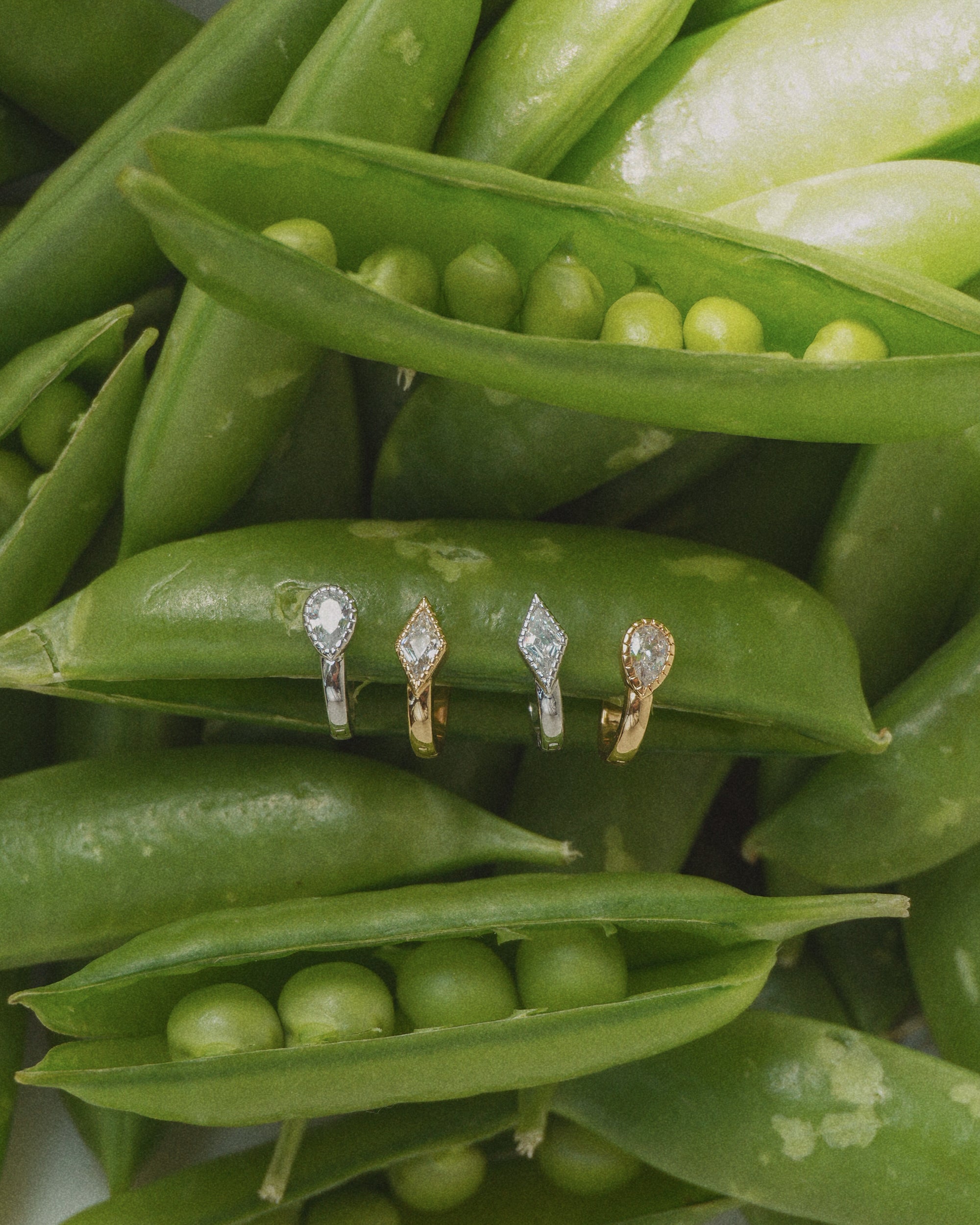 Four Leighton Teardrop Huggies by Mod + Jo are displayed on opened pea pods, surrounded by fresh green peas and pods, their brilliant stones sparkling under the light.